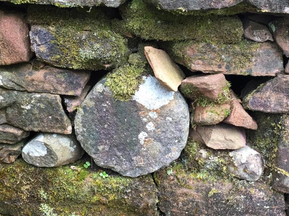 Boggle Dyke Cottage ソーンヒル エクステリア 写真